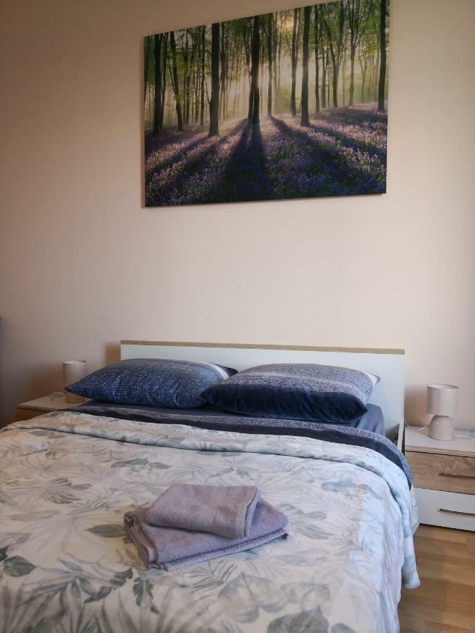 Apartman Bulevard Daire Rijeka Dış mekan fotoğraf
